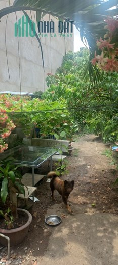 MẶT TIỀN KINH DOANH ĐỈNH - LÊ ĐỨC THỌ - DIỆN TÍCH KHỦNG - 395M2 - GIÁ 33 TỶ