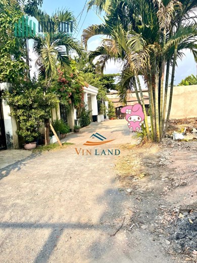 Cần bán 2 lô đất đã tách sổ đối diện trại giam B5 Trảng Dài Biên Hòa