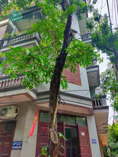 Bán Nhà Nguyễn Văn Huyên, Lô Góc Kinh Doanh - 90m2 Gara Oto Tránh Nhỉnh 20 Tỷ