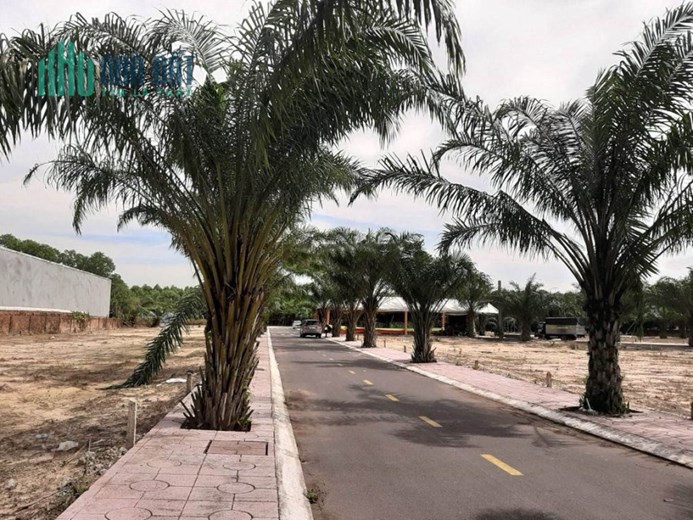 BÁN ĐẤT MẶT TIỀN ĐƯỜNG NHỰA FULL THỔ ĐƯỜNG PHÙNG HƯNG, AN VIỄN TRẢNG BOM