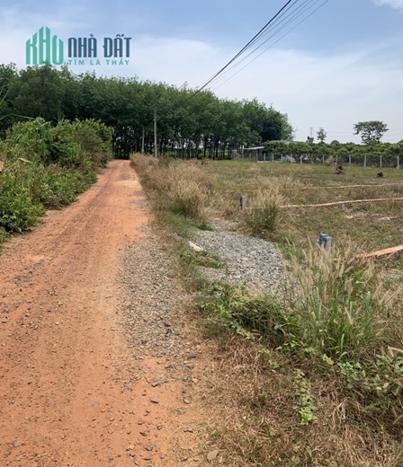 Đất Gò Dầu Kẹt Tiền Bán Gấp 295 Triệu Hết Đất