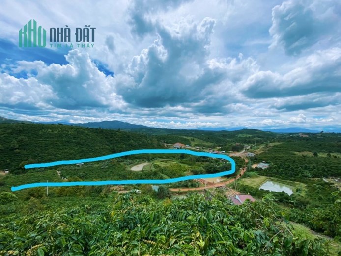 Chính chủ cần bán lô đất 9.500m2, giá 650.000/m2 vị trí đắc địa ngay xã Tân Lâm – huyện Di Linh.
