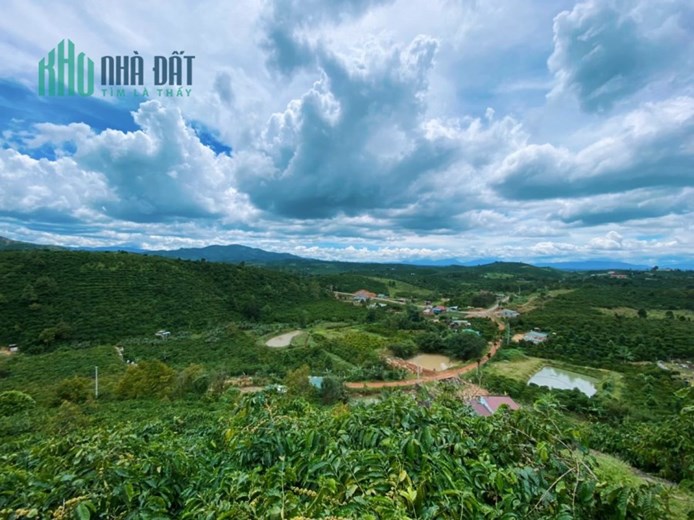 Chính chủ cần bán lô đất 9.500m2, giá 650.000/m2 vị trí đắc địa ngay xã Tân Lâm – huyện Di Linh.