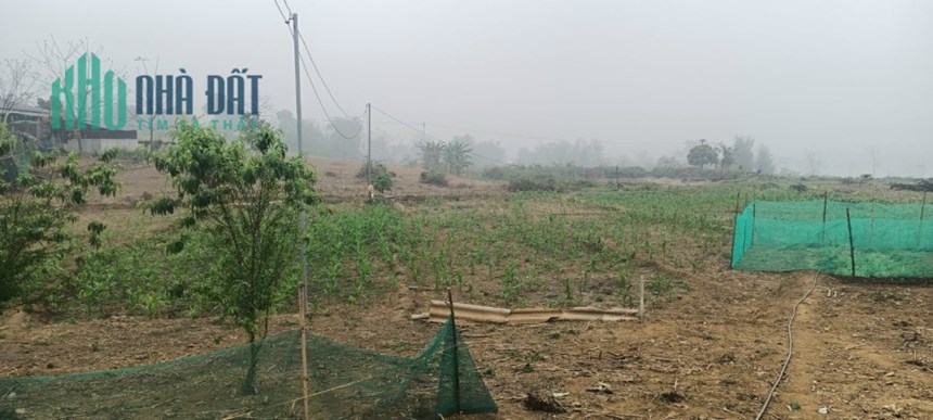 NHÀ MÌNH CÓ 3000M ĐẤT CẦN BÁN TẠI TIÊU KHU MÓ LA THỊ TRẤN ĐÀ BẮC,HUYỆN ĐÀ BẮC, TỈNH HÒA BÌNH.
