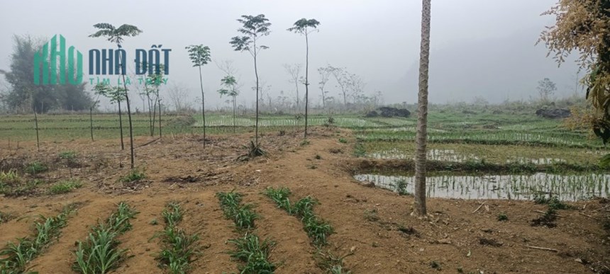 NHÀ MÌNH CÓ 3000M ĐẤT CẦN BÁN TẠI TIÊU KHU MÓ LA THỊ TRẤN ĐÀ BẮC,HUYỆN ĐÀ BẮC, TỈNH HÒA BÌNH.