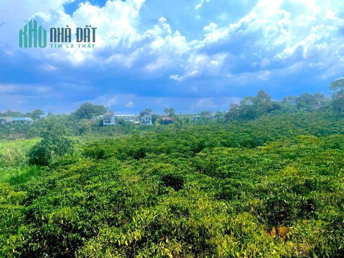 Chính chủ bán đất mặt tiền đường Lê Duẩn, ngay chợ, trường học, trung tâm hành chính Huyện Bảo Lâm