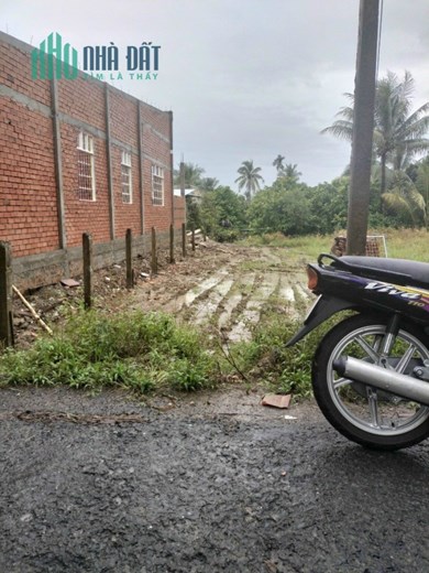 BÁN ĐẤT ĐẸP, ĐƯỜNG THÔNG, PHÚ QUỚI, LONG HỒ, VĨNH LONG