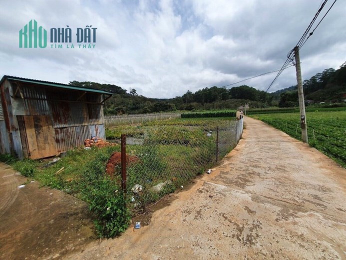 ( Hot Hot ) Chỉ 1.7 tỷ sở hữu ngay 540m2 đất sổ riêng tỷ đường Mimoza, Đà Lạt