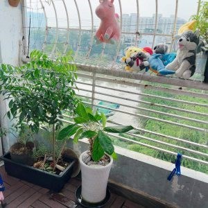 Cần Bán Căn Hộ 2 Phòng ngủ View Bờ Hồ , Phường 7, Quận 8
