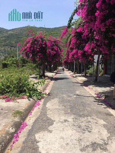 MÌNH CHÍNH CHỦ CẦN BÁN LÔ ĐẤT TẠI MẶT ĐƯỜNG BẠCH THÁI BƯỞI - TP NHA TRANG - KHÁNH HÒA