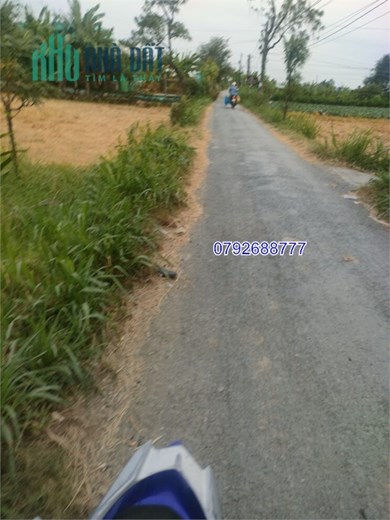 TÔI CHÍNH CHỦ CẦN BÁN ĐẤT ,ĐƯỜNG ĐAN 2.5M