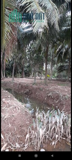 CHÍNH CHỦ bán đất vườn có nhà c4 tại xã Tam Phước, Châu Thành, Bến Tre