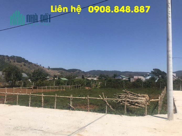 Sở hữu ngay lô đất thổ cư full cách trung tâm TP Đà Lạt 10 Km với giá hạt dẻ và ưu đãi khủng