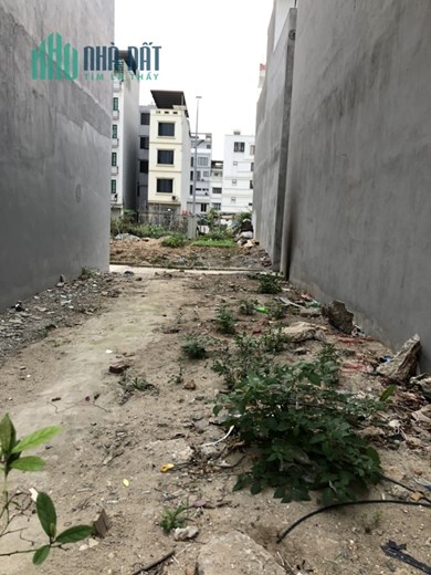 Bán đất Tư Đình, ô tô tránh, 50 m2, mặt tiền 4 m, chỉ nhĩnh 5 tỷ.