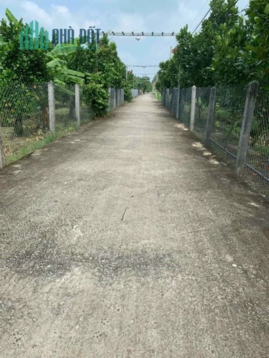 Đất Hiệp Thạnh Gần Khu Công Nghiệp 500 Triệu Sở Hữu