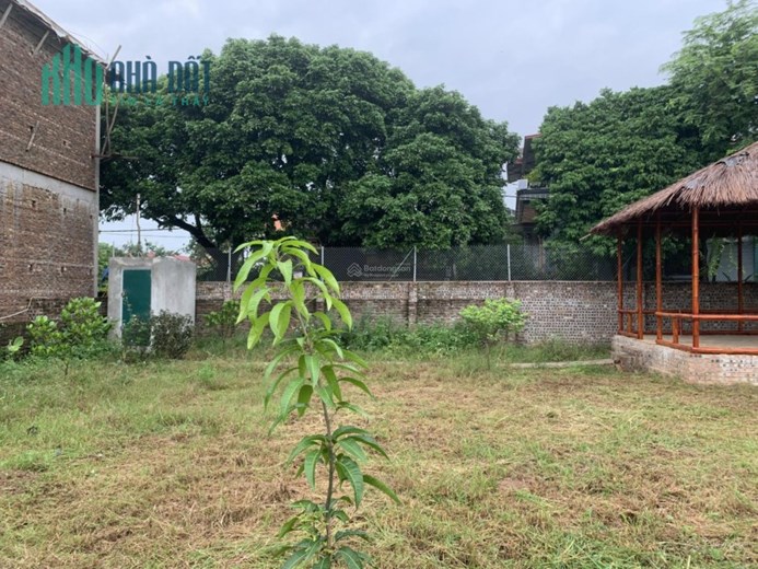 Chính chủ bán đất có nhà vườn hơn 1000m2 Xã Tự Nhiên - Huyện Thường Tín Hà Nội