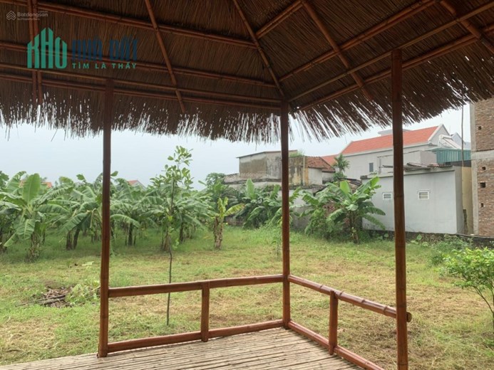 Chính chủ bán đất có nhà vườn hơn 1000m2 Xã Tự Nhiên - Huyện Thường Tín Hà Nội