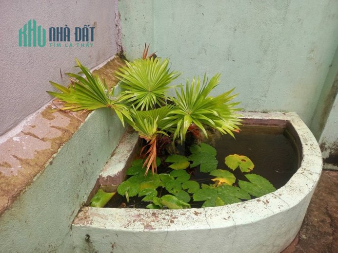 Cần bán gấp căn nhà kiệt Tiểu La, diện tích khủng 99m, chỉ 2.72 tỳ, đầu tư cực tốt