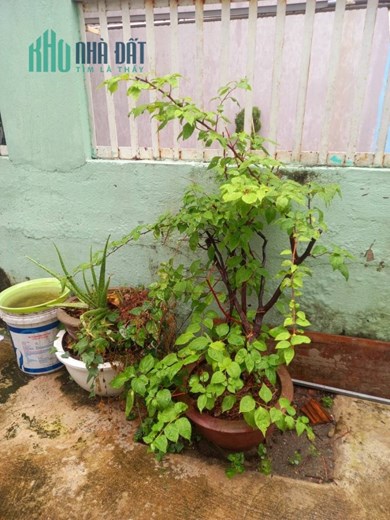 Cần bán gấp căn nhà kiệt Tiểu La, diện tích khủng 99m, chỉ 2.72 tỳ, đầu tư cực tốt