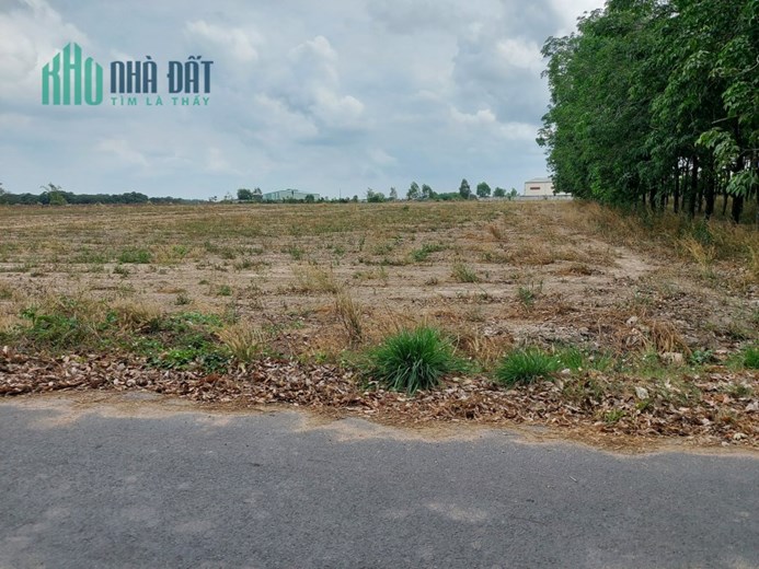 Bán 2 Sào Đất Làm Nhà Vườn, Kho Xưởng Tại Xã Tóc Tiên