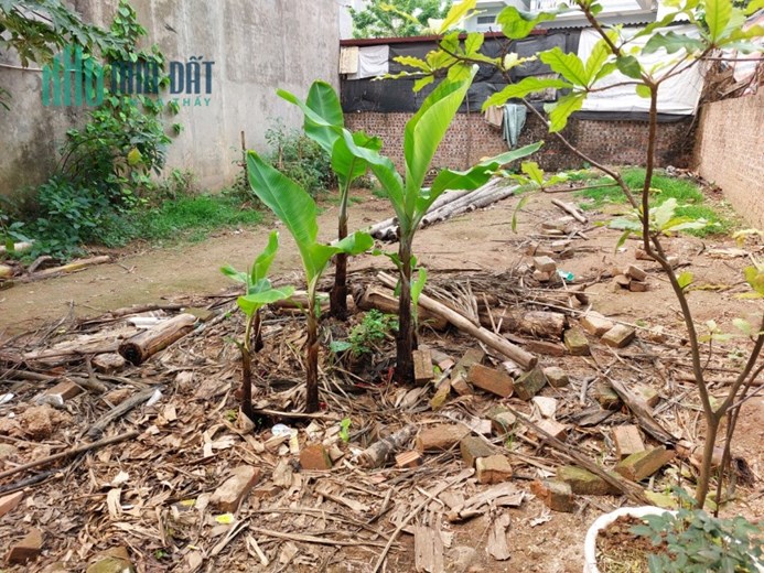 Bán Mảnh Đất 50m2, chỉ 1,98 tỷ Ngọc Thụy, Long Biên ( ô tô vào đất)