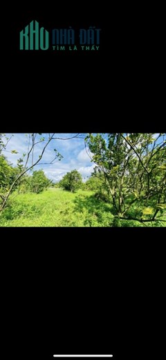 Cần bán đất khu nghỉ dưỡng  Xã Bình Lộc, Long Khánh, Đồng Nai