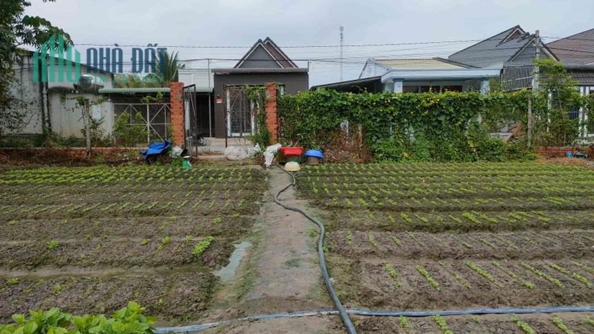 Mình cần bán mảnh đất tại Bàu Năng, Dương Minh Châu, Tây Ninh.