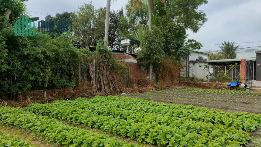 Mình cần bán mảnh đất tại Bàu Năng, Dương Minh Châu, Tây Ninh.