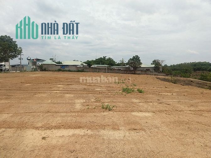Bán gấp 2,4ha đất trung tâm Xuyên Mộc,Hồ Tràm, xe hơi vào tới đất,giá rẻ