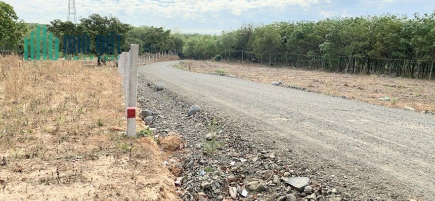 Bán gấp 2,4ha đất trung tâm Xuyên Mộc,Hồ Tràm, xe hơi vào tới đất,giá rẻ