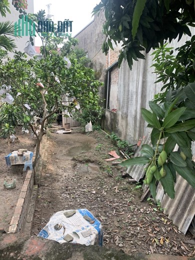 Bán đất mặt đường trục xã Tú Thịnh, Sơn Dương, Tuyên Quang gần QL 2C giá 15tr/m2