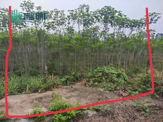 CHÍNH CHỦ Cần Bán Gấp Lô Đất Đẹp Vị Trí Tại Tỉnh Đông Nai