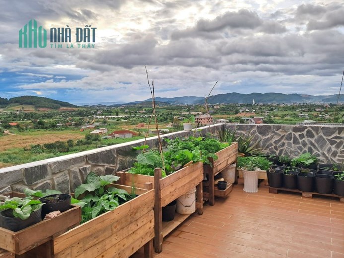 Chính Chủ Cần Bán Gấp Căn Nhà Vị Trí Đẹp Tại Đông Thanh, Lâm Hà
