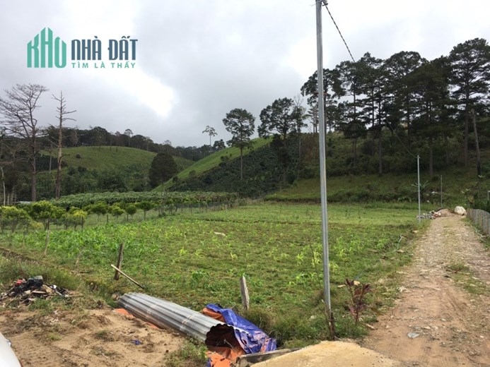 (Ngộpppp) Chủ gửi bán mảnh đất đẹp ở Đa Chais, Lạc Dương 1850m2 chỉ 1.9 tỷ