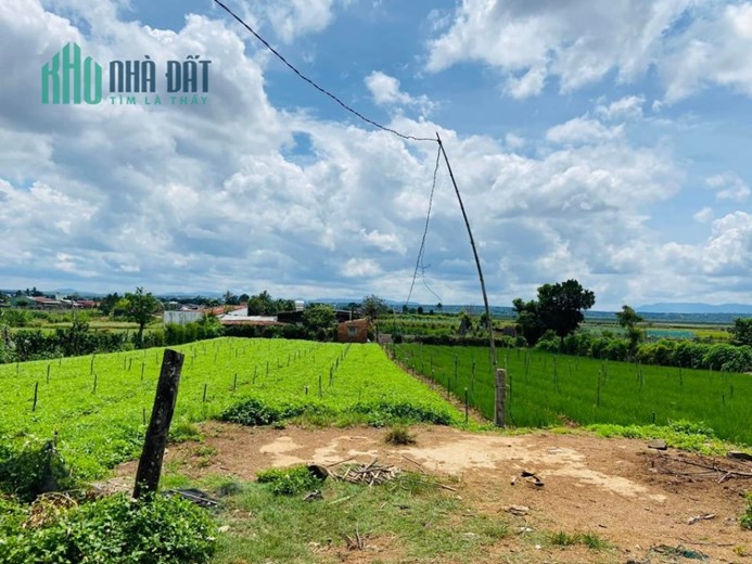 Bán lô đất 6x95 view hồ đường nhựa 8m trung tâm thị xã Nghĩa Hưng