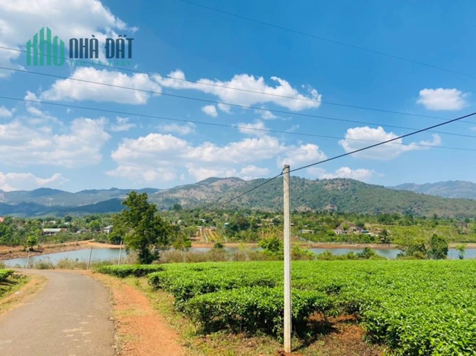 Bán lô đất 6x95 view hồ đường nhựa 8m trung tâm thị xã Nghĩa Hưng