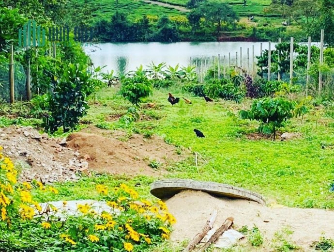Bán lô đất 6x95 view hồ đường nhựa 8m trung tâm thị xã Nghĩa Hưng
