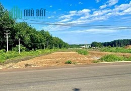 Vợ chồng tôi bán cắt lỗ 5 lô đất 1125m2 giá chỉ 290tr, SHR, Ngay KCN, dân cư đông đúc