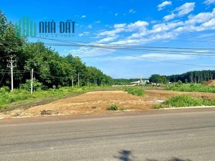 Vợ chồng tôi bán cắt lỗ 5 lô đất 1125m2 giá chỉ 290tr, SHR, Ngay KCN, dân cư đông đúc