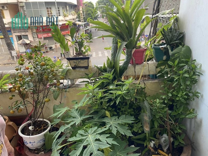 Bán Chung cư lầu 1, 824 Trần Hưng Đạo, Q5, 69m2, 3.9x19, 2 tầng, 2PN, chỉ 2.75 tỷ TL chính chủ.