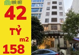 Bán Tòa Nhà 9 Tầng, THANG MÁY, 158m2, 7 tầng, 8m x 20m, Giá 42 Tỷ, MT Đường Số Tân Quy Quận 7