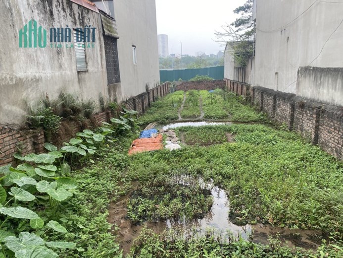 Cần bán gấp 55m đất Thượng Thanh, mt 4, chỉ hơn tỷ.