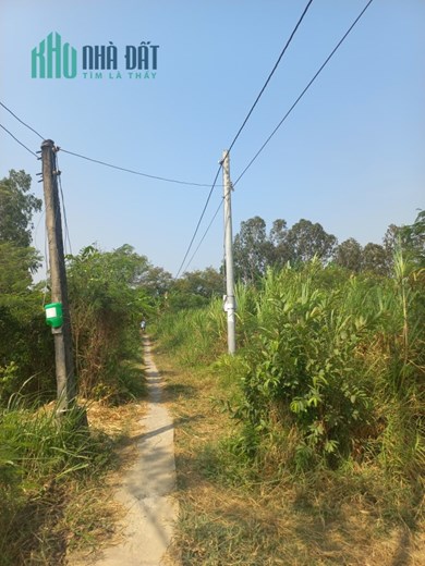 Đất ruộng wew kênh bình nghị TX gò công đông