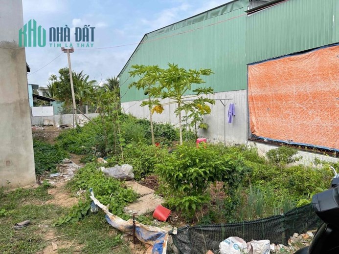 Chính Chủ Bán Đất Mt Đường Nhựa Giá Rẻ Ngay Đường Nguyễn Văn Lâu-P8