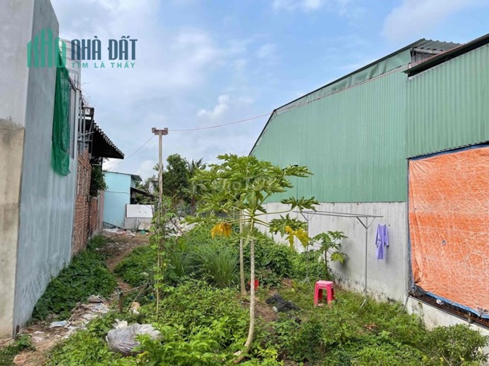 Chính Chủ Bán Đất Mt Đường Nhựa Giá Rẻ Ngay Đường Nguyễn Văn Lâu-P8