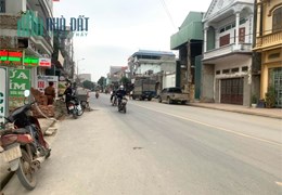 Bán đất đấu giá Tam Hồng Yên Lạc Vĩnh Phúc.