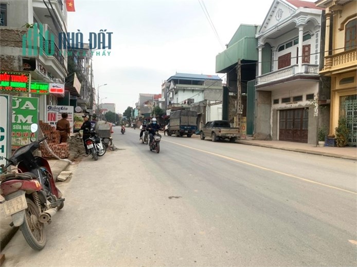 Bán đất đấu giá Tam Hồng Yên Lạc Vĩnh Phúc.
