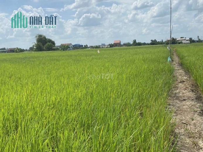 Bán 3077m2 đất MT gần KDL Đồn Rạch Cát Long An, SHR, 1.2 tỷ. Lh:0985194768