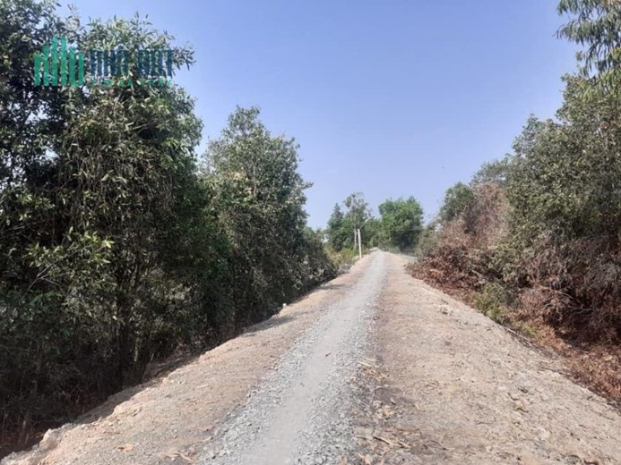 9,3công đất đường Bắc kênh 500,Tân Hoà Đông,Tân Phước,Tiền Giang