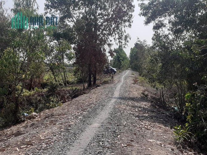 9,3công đất đường Bắc kênh 500,Tân Hoà Đông,Tân Phước,Tiền Giang